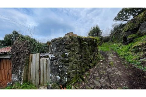 Villa a Valenca, Viana do Castelo, Valenca - € 25.000 | Ref: UNU F1-07-18 - foto 5