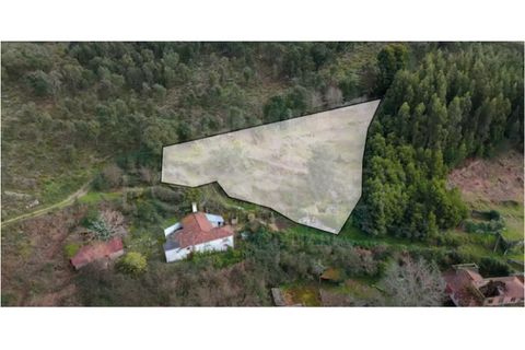 Villa a Valenca, Viana do Castelo, Valenca - € 25.000 | Ref: UNU F1-07-18 - foto 8