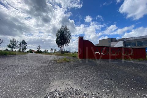 Helårsgrund i Gandra e Taiao, Viana do Castelo, Gandra e Taiao - € 1.200.000 | Ref: F1-03-33 - foto 1