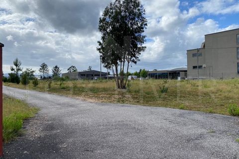 Helårsgrund i Gandra e Taiao, Viana do Castelo, Gandra e Taiao - € 1.200.000 | Ref: F1-03-33 - foto 3