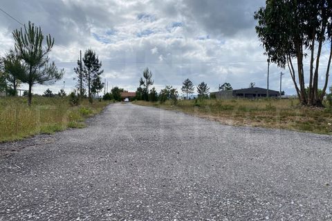 Helårsgrund i Gandra e Taiao, Viana do Castelo, Gandra e Taiao - € 1.200.000 | Ref: F1-03-33 - foto 4