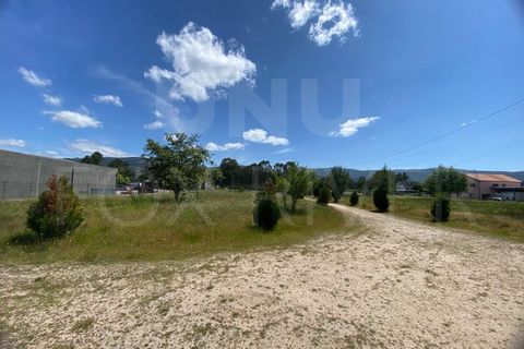 Helårsgrund i Gandra e Taiao, Viana do Castelo, Gandra e Taiao - € 1.200.000 | Ref: F1-03-33 - foto 6