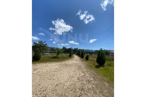 Helårsgrund i Gandra e Taiao, Viana do Castelo, Gandra e Taiao - € 1.200.000 | Ref: F1-03-33 - foto 7