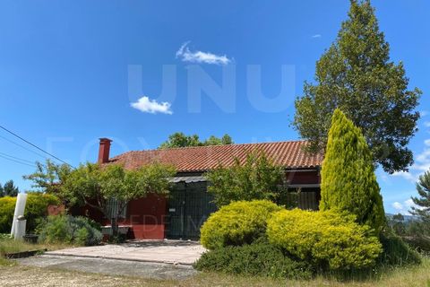 Helårsgrund i Gandra e Taiao, Viana do Castelo, Gandra e Taiao - € 1.200.000 | Ref: F1-03-33 - foto 8