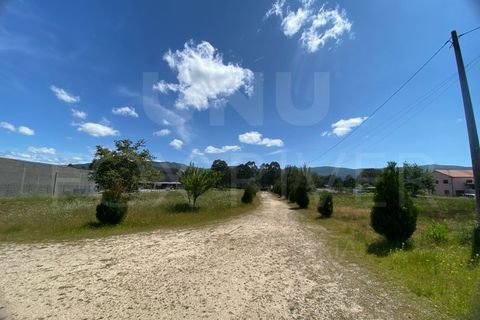 Helårsgrund i Gandra e Taiao, Viana do Castelo, Gandra e Taiao - € 1.200.000 | Ref: F1-03-33 - foto 10