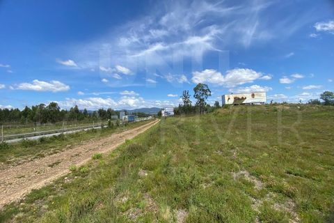 Helårsgrund i Gandra e Taiao, Viana do Castelo, Gandra e Taiao - € 1.200.000 | Ref: F1-03-33 - foto 15