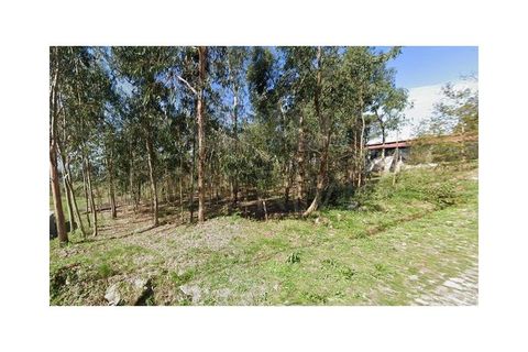 Helårsgrund i Gandra e Taiao, Viana do Castelo, Gandra e Taiao - € 55.000 | Ref: F1-03-40 - foto 3