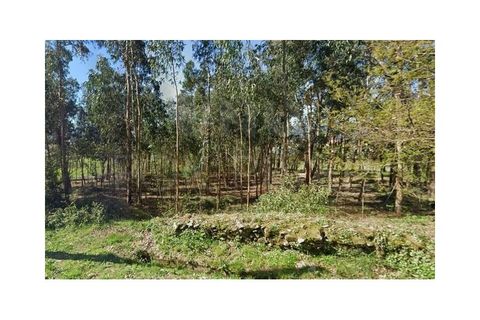 Helårsgrund i Gandra e Taiao, Viana do Castelo, Gandra e Taiao - € 55.000 | Ref: F1-03-40 - foto 5