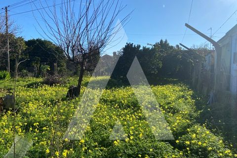 Helårsgrund i Anadia, Aveiro, Anadia - € 38.000 | Ref: 1051259/25 OB - foto 2