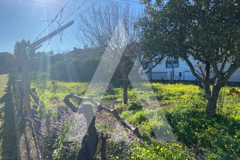 Helårsgrund i Anadia, Aveiro, Anadia - € 38.000 | Ref: 1051259/25 OB - foto 6
