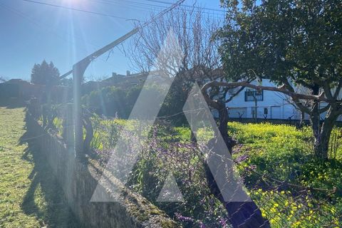 Helårsgrund i Anadia, Aveiro, Anadia - € 38.000 | Ref: 1051259/25 OB - foto 7