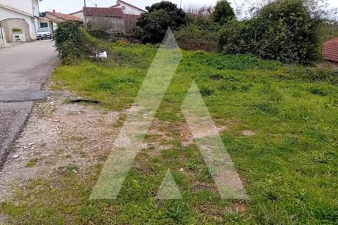 Helårsgrund i Anadia, Aveiro, Anadia - € 17.000 | Ref: 1051260/25 OB - foto 2