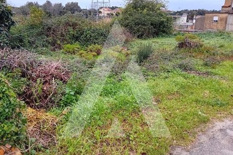 Helårsgrund i Anadia, Aveiro, Anadia - € 17.000 | Ref: 1051260/25 OB - foto 3
