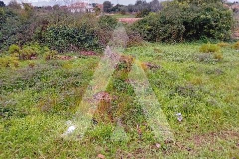 Helårsgrund i Anadia, Aveiro, Anadia - € 17.000 | Ref: 1051260/25 OB - foto 4