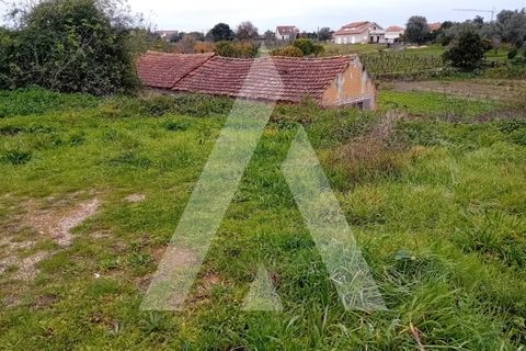 Helårsgrund i Anadia, Aveiro, Anadia - € 17.000 | Ref: 1051260/25 OB - foto 5