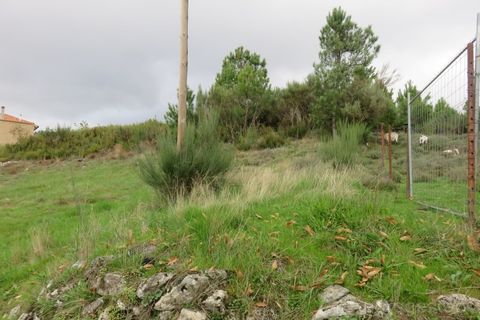 Ruinere i Tarouca, Viseu, Tarouca - € 11.500 | Ref: LMG_3985 - N - foto 3
