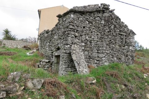 Ruinere i Tarouca, Viseu, Tarouca - € 11.500 | Ref: LMG_3985 - N - foto 5