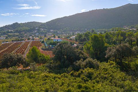 Terra a Lliber, Alicante, Lliber - € 145.000 | Ref: HO121498 - foto 3