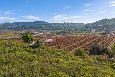 Terra a Lliber, Alicante, Lliber - € 145.000 | Ref: HO121498 - foto 4