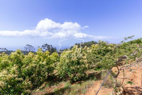 Helårsgrund i Calheta, Madeira, Calheta - € 500.000 | Ref: 8948-JO - foto 7