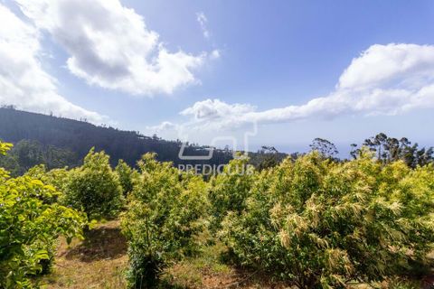 Helårsgrund i Calheta, Madeira, Calheta - € 500.000 | Ref: 8948-JO - foto 11