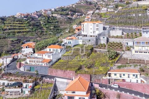 Helårsgrund i Camara de Lobos, Madeira, Camara de Lobos - € 65.000 | Ref: 10152-NJ - foto 2