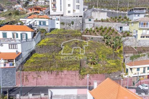 Helårsgrund i Camara de Lobos, Madeira, Camara de Lobos - € 65.000 | Ref: 10152-NJ - foto 4