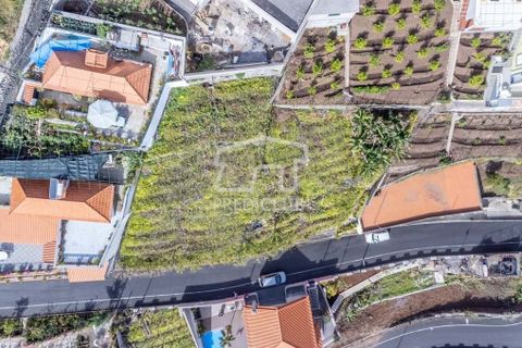 Helårsgrund i Camara de Lobos, Madeira, Camara de Lobos - € 65.000 | Ref: 10152-NJ - foto 3