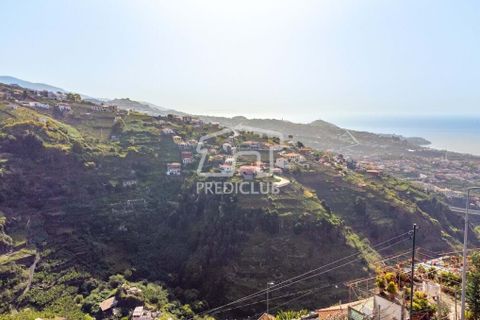 Helårsgrund i Camara de Lobos, Madeira, Camara de Lobos - € 65.000 | Ref: 10152-NJ - foto 6
