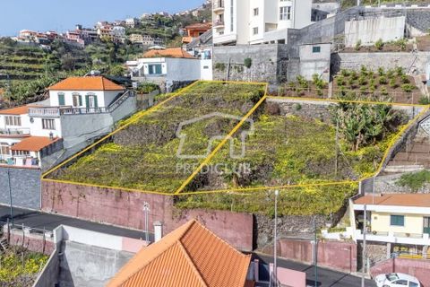 Helårsgrund i Camara de Lobos, Madeira, Camara de Lobos - € 65.000 | Ref: 10152-NJ - foto 5