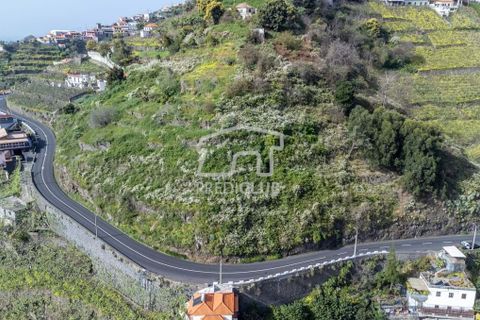 Tomt i Camara de Lobos, Madeira, Camara de Lobos - € 130 000 | Ref: 10146-NJ - foto 2