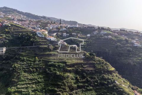 Tomt i Camara de Lobos, Madeira, Camara de Lobos - € 130 000 | Ref: 10146-NJ - foto 3