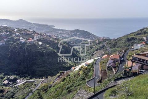 Tomt i Camara de Lobos, Madeira, Camara de Lobos - € 130 000 | Ref: 10146-NJ - foto 4