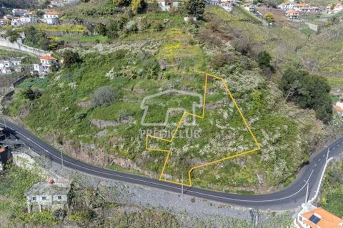 Tomt i Camara de Lobos, Madeira, Camara de Lobos - € 130 000 | Ref: 10146-NJ - foto 5