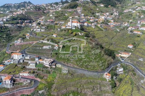 Tomt i Camara de Lobos, Madeira, Camara de Lobos - € 130 000 | Ref: 10146-NJ - foto 6
