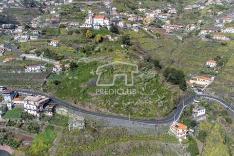 Tomt i Camara de Lobos, Madeira, Camara de Lobos - € 130 000 | Ref: 10146-NJ - foto 7
