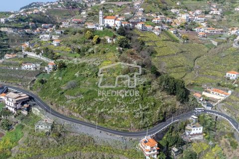 Tomt i Camara de Lobos, Madeira, Camara de Lobos - € 130 000 | Ref: 10146-NJ - foto 8