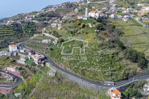 Tomt i Camara de Lobos, Madeira, Camara de Lobos - € 130 000 | Ref: 10146-NJ - foto 9