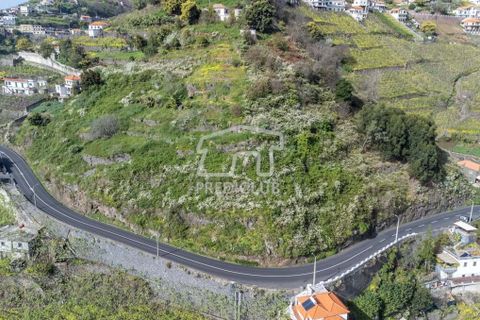 Tomt i Camara de Lobos, Madeira, Camara de Lobos - € 130 000 | Ref: 10146-NJ - foto 10