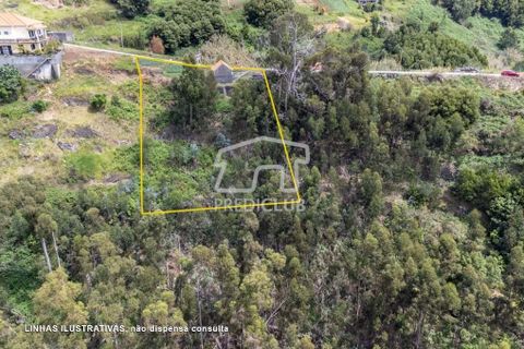 Helårsgrund i Calheta, Madeira, Calheta - € 77.500 | Ref: 10763-JO - foto 3