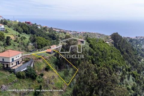 Helårsgrund i Calheta, Madeira, Calheta - € 77.500 | Ref: 10763-JO - foto 6