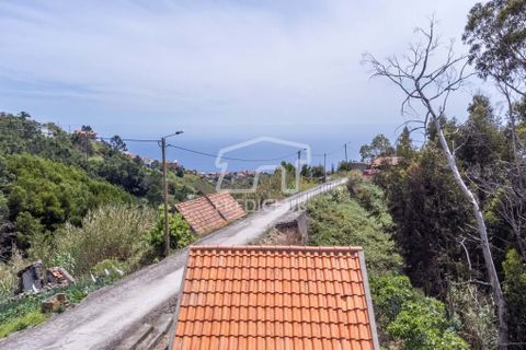 Helårsgrund i Calheta, Madeira, Calheta - € 77.500 | Ref: 10763-JO - foto 9