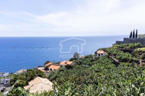 Helårsgrund i Calheta, Madeira, Calheta - € 550.000 | Ref: 10761-JO - foto 2