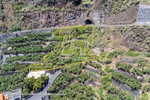 Helårsgrund i Calheta, Madeira, Calheta - € 550.000 | Ref: 10761-JO - foto 5