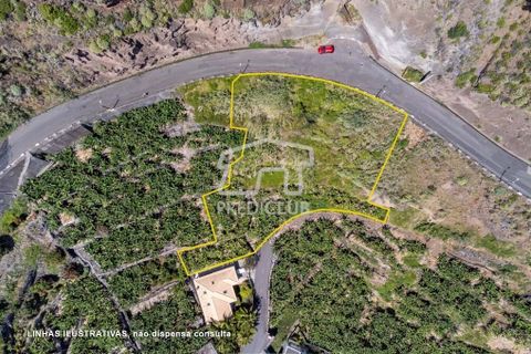 Helårsgrund i Calheta, Madeira, Calheta - € 550.000 | Ref: 10761-JO - foto 6