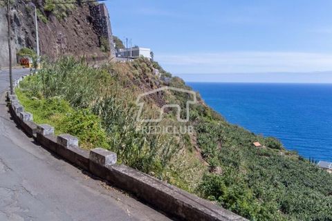Helårsgrund i Calheta, Madeira, Calheta - € 550.000 | Ref: 10761-JO - foto 7