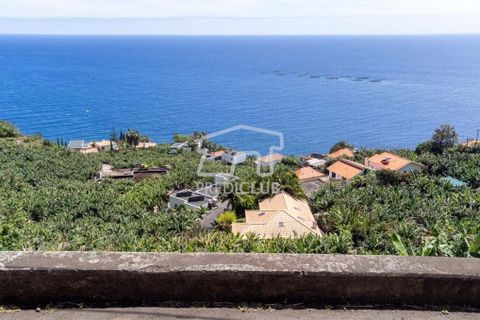 Helårsgrund i Calheta, Madeira, Calheta - € 550.000 | Ref: 10761-JO - foto 8
