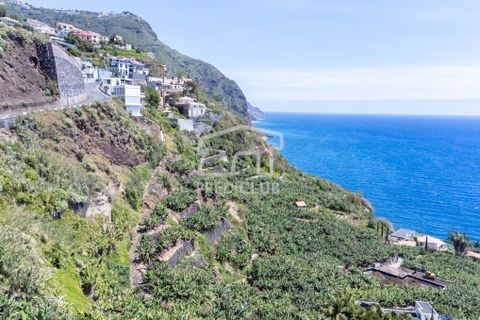 Helårsgrund i Calheta, Madeira, Calheta - € 550.000 | Ref: 10761-JO - foto 9