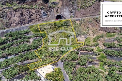 Helårsgrund i Calheta, Madeira, Calheta - € 550.000 | Ref: 10761-JO - foto 3