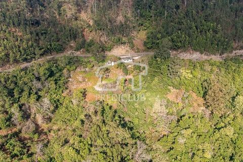 Terra a Ribeira Brava, Madeira, Ribeira Brava - € 285.000 | Ref: 11415-JR - foto 2